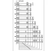 Направляющие скрытого монтажа DTC направляющие скрытого монтажа dtc, 450мм, 25 кг, част. выдв. с доводч.